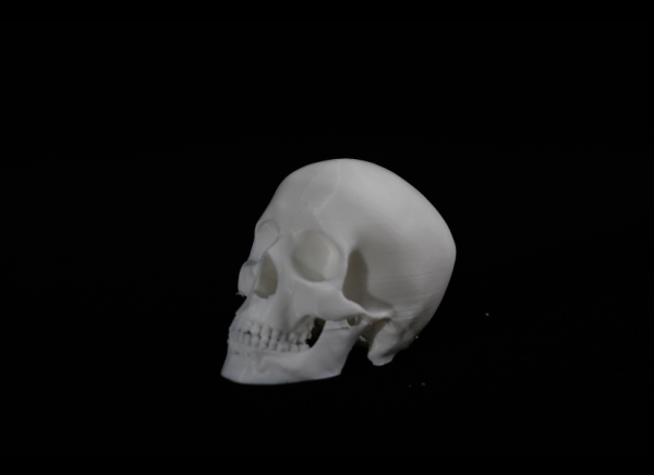 Realistic Skulls with Flashforge AD5M Pro 3d printer